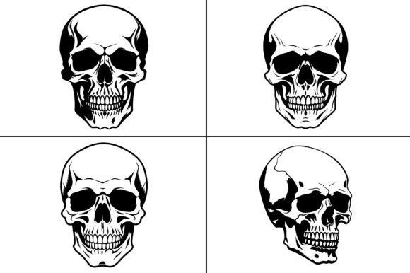 Download Skull Skeleton Head Silhouette - Skull Collection